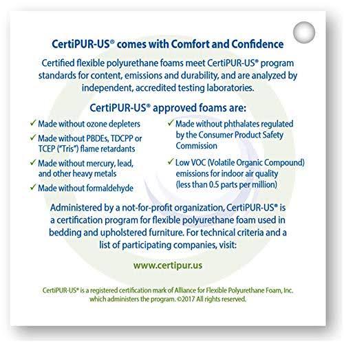 Cozy Sack, LG-CBB-ROYAL, Large Premium Foam Bean Bag Chair, Royal