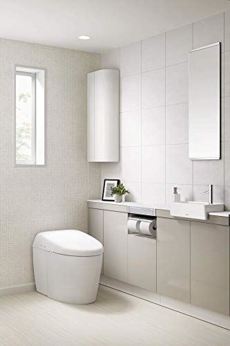 Toilet with Intergeated Bidet Seat and EWATER Beige-MS988CUMFG