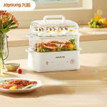 electric steamer quick heating multifunctional breakfast electric steamer food warmer steamer pot