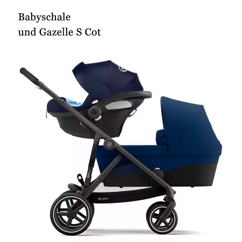 Gazelle S - Cybex