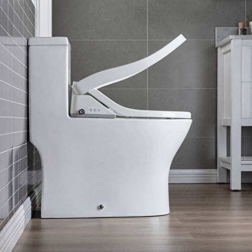 Dual Flush Elongated Toilet with Advance Smart Washlet Bidet in White