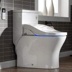 Dual Flush Elongated Toilet with Advance Smart Washlet Bidet in White