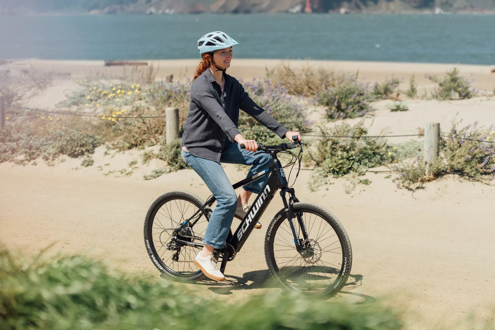 Schwinn Women's Amalgam Electric Bike