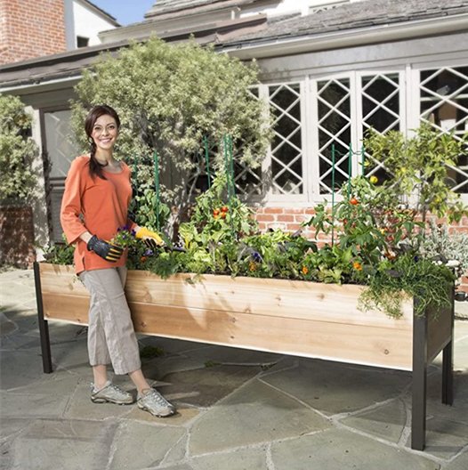 Raised Garden Bed Raised Cedar Planter, 2' X 8' Standing Garden Provides 16 Square Feet of Planting Space