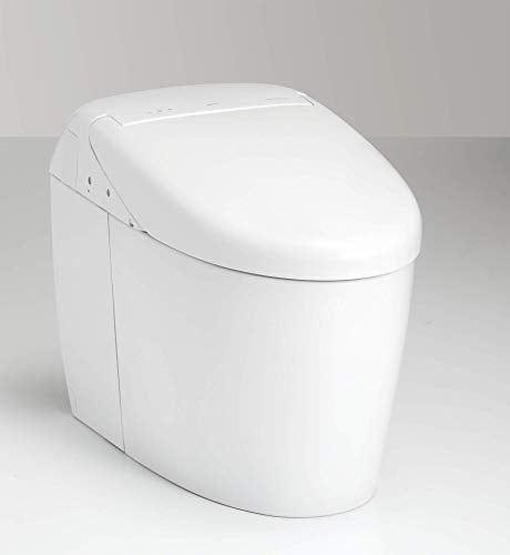 Toilet with Intergeated Bidet Seat and EWATER Beige-MS988CUMFG