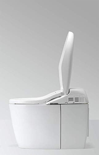 Toilet with Intergeated Bidet Seat and EWATER Beige-MS988CUMFG