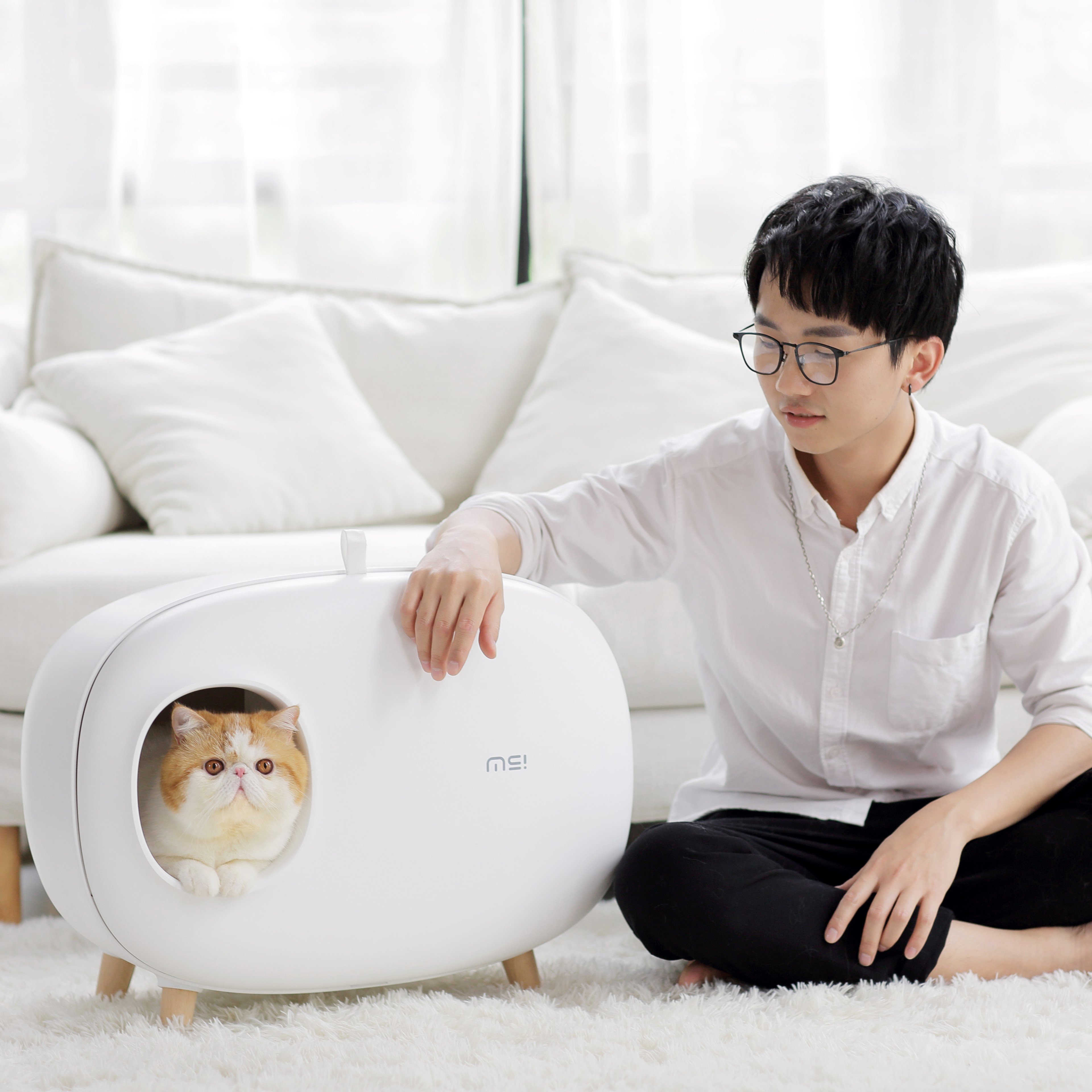 Cat Litter Box