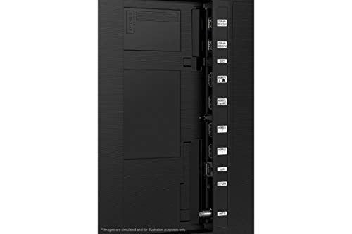 4K UHD Quantum HDR 24x Smart TV with Alexa Built-in & 6 Speaker /  55-Inch