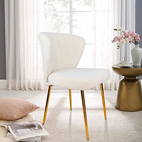 Modern Dining Chairs, Velvet Accent Chair, Living Room Chairs, Set of 2,
