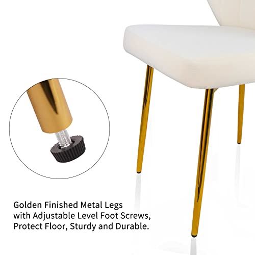 Modern Dining Chairs, Velvet Accent Chair, Living Room Chairs, Set of 2,