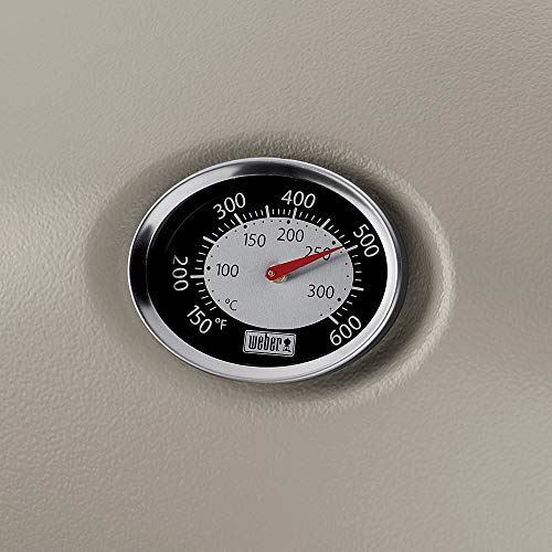 Weber Q1200 Liquid Propane Grill, Titanium