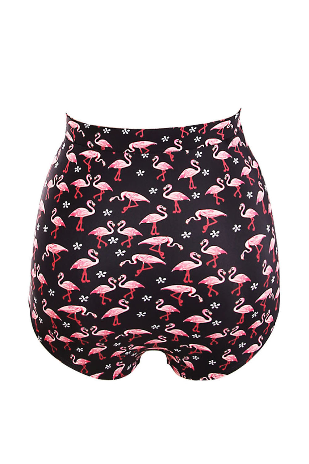 Waterfowl Print Black Plus Size High Waist Swim Bottom