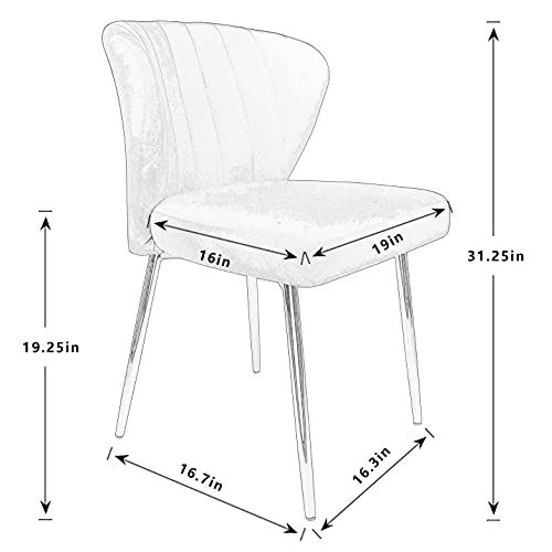 Modern Dining Chairs, Velvet Accent Chair, Living Room Chairs, Set of 2,