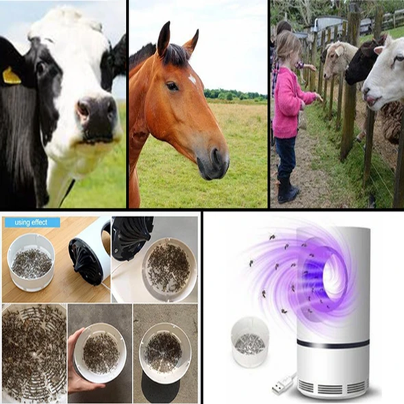 Mosquito And Flies Killer Trap - Suction Fan