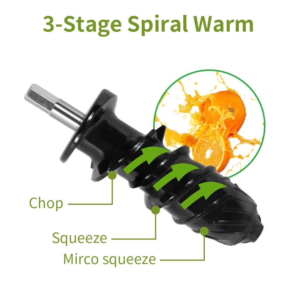 Juicer Electric High Nutrition Vegetables And Fruits Slow Blender Soft And Hard Modes