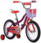 Girls Bike for Toddlers and Kids, 16-Inch Wheels, Purple