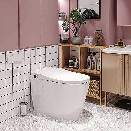 Power Flush One Piece Toilets with Bidet Built in,Heated Bidets Seat