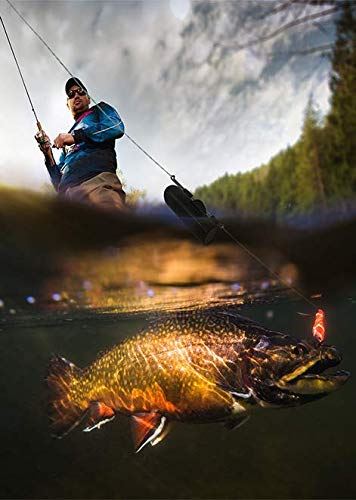 GoFish Cam Wireless Underwater Fishing Camera, Black