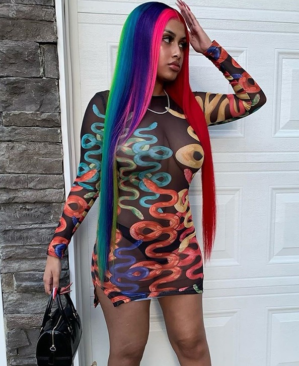 Party Sexy Print Black See Through Mesh Dress