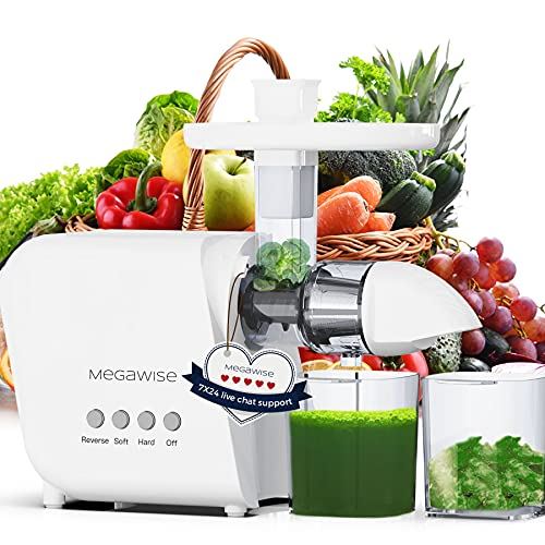 2 Speed Modes Juicer Machines for Vegetables and Fruits