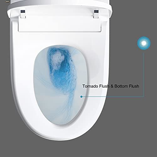 Power Flush One Piece Toilets with Bidet Built in,Heated Bidets Seat