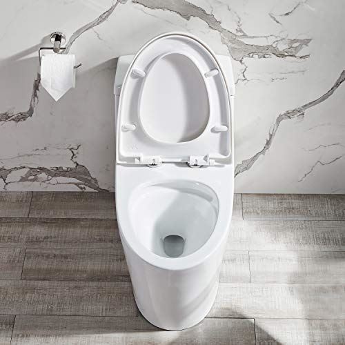 Flush Elongated One-Piece Toilet with Soft Closing Seat, High-Efficiency