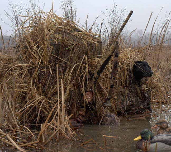 MOmarsh Invisi-Chair