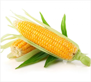 Corn