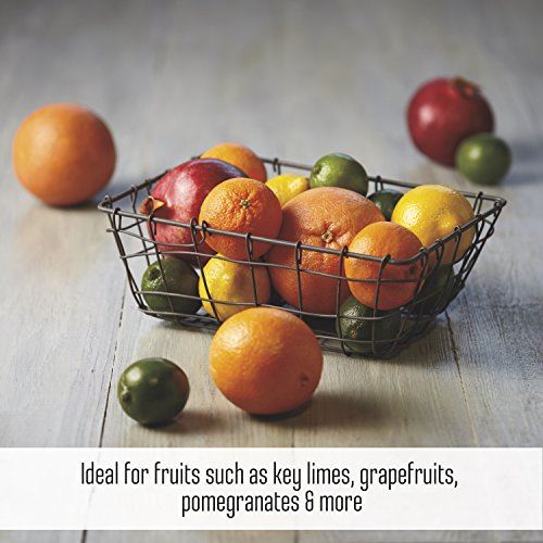 Citrus Juicer, BPA Free, Easy Clean (66431), Fits under Most Kitchen Cabinets