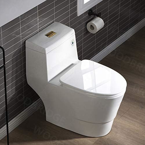 T-0001-BG Toilet, with Brushed Gold Button