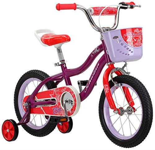 Girls Bike for Toddlers and Kids, 14-Inch Wheels, Purple