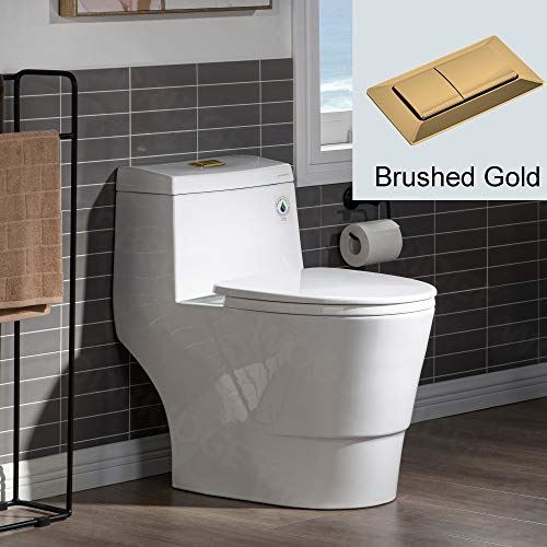 T-0001-BG Toilet, with Brushed Gold Button
