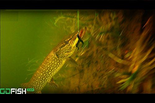 GoFish Cam Wireless Underwater Fishing Camera, Black