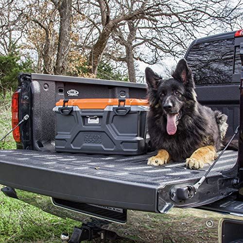 Klein Tools 55650 Lunch Box / Cooler, 48 Qt Insulated Cooler, Holds 72 Cans