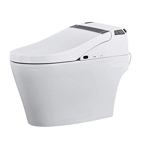 Elongated One Piece Smart Toilet & Bidet