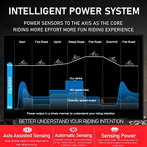 Electric Mountain Bike, 4.0 Fat Tire E-Bike with 48V 14.5ah Lithium Battery
