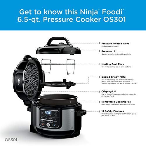 Foodi 10-in-1 Pressure Cooker and Air Fryer with Nesting Broil Rack