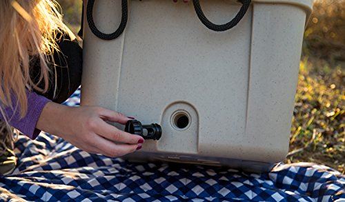 BISON COOLERS 25 Quart Small Rotomolded Cooler Box with Hard Shell, Lid and Liner