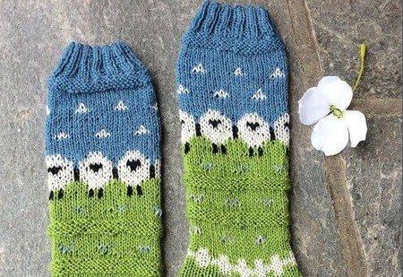 Knitted Casual Floral Underwear & Socks