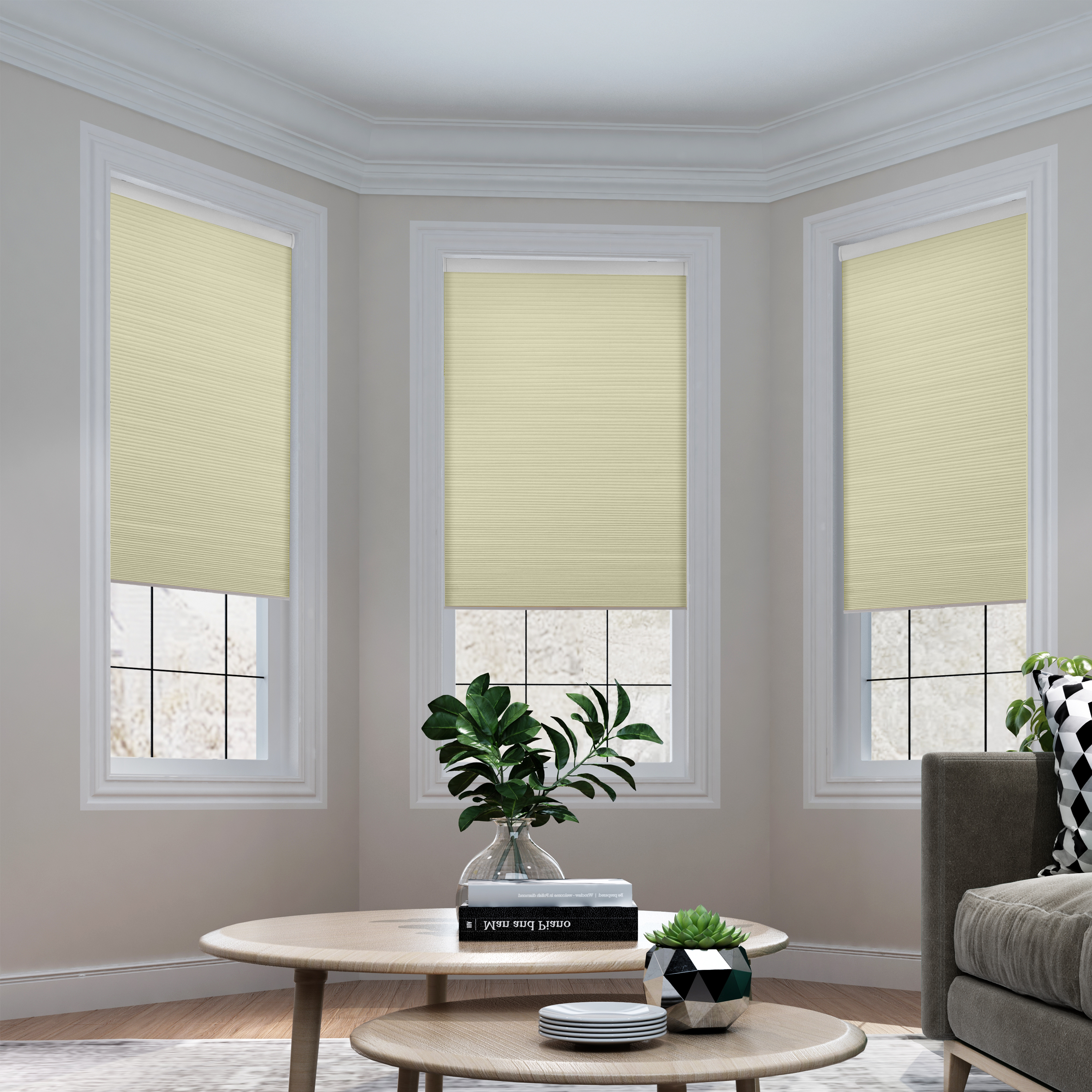 PARIS Cellular Shade Cordless Window Blinds Honeycomb Shade for Home and Windows Bedroom, 100% Blackout