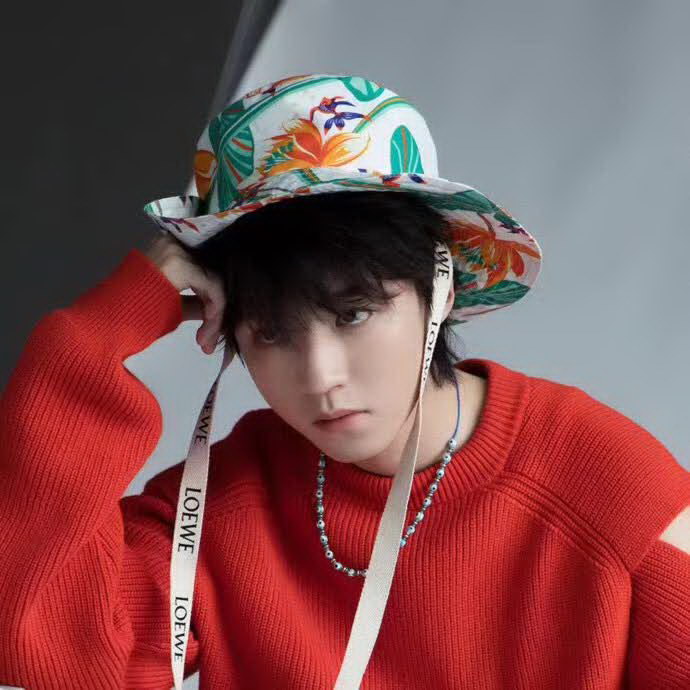 20冬季最新专柜款-罗意威LOEWE帆布印花渔夫帽，王源同款，超多明星同款 男女同款，超时尚单品