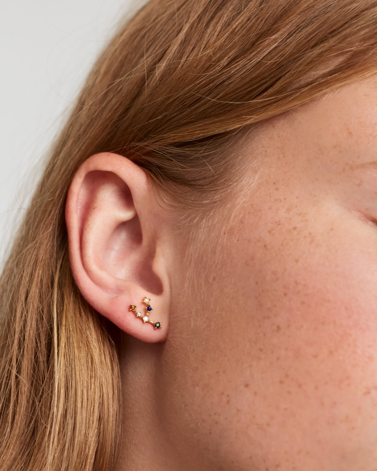 GRID TAURUS EARRINGS