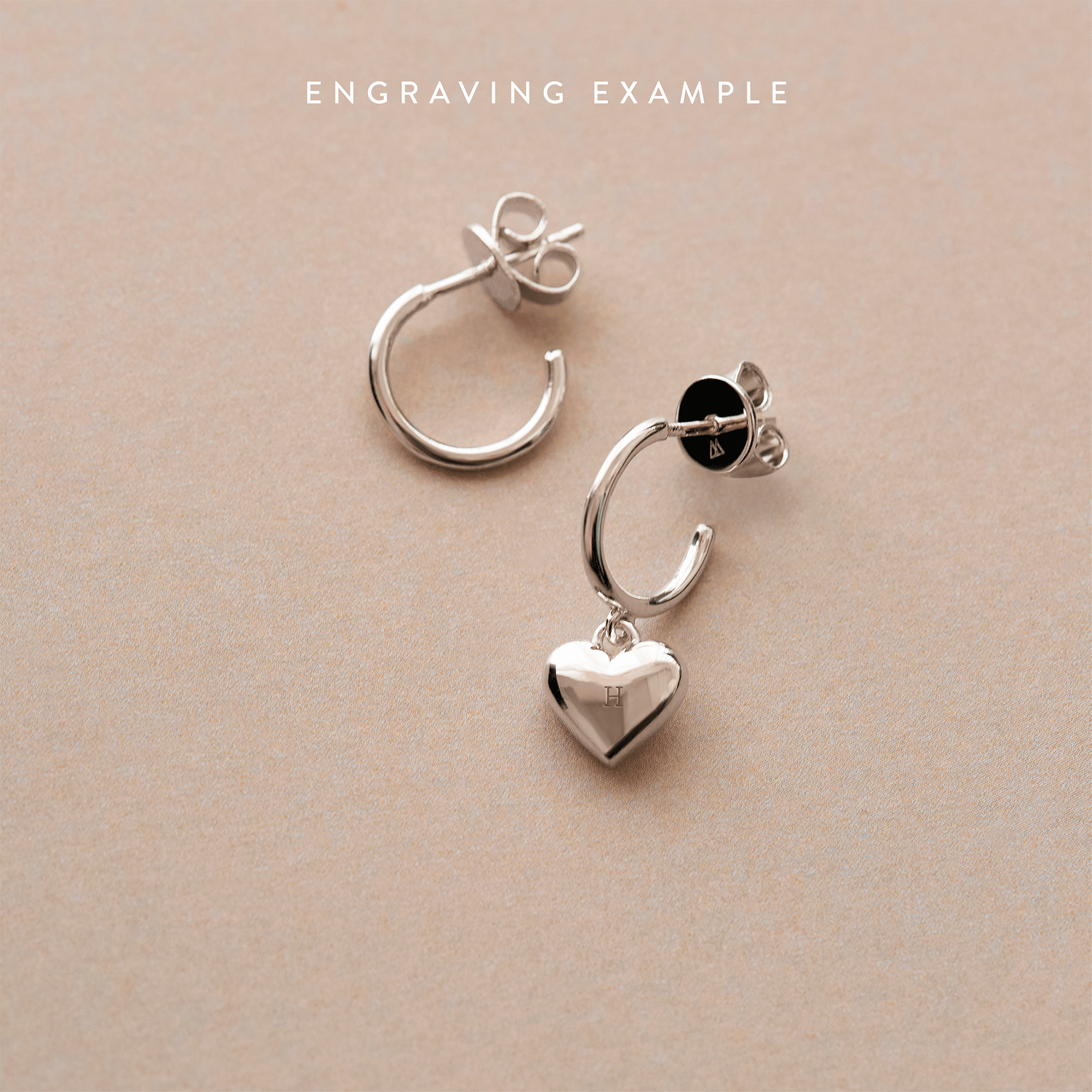 L'Absolu Silver Earrings