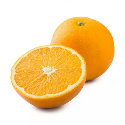 Juicy organic Fresh Orange Fruit Wholesale Valencia Navel Orange