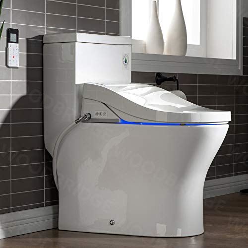 Dual Flush Elongated Toilet with Advance Smart Washlet Bidet in White