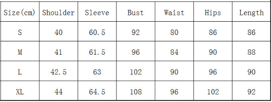 Autumn Black V-Neck Ruched Strings Shirt Dress