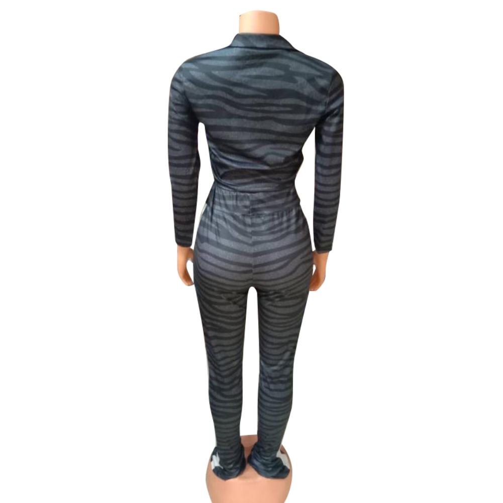 Autumn Zebra Print Zipper Crop Top and Pants Set