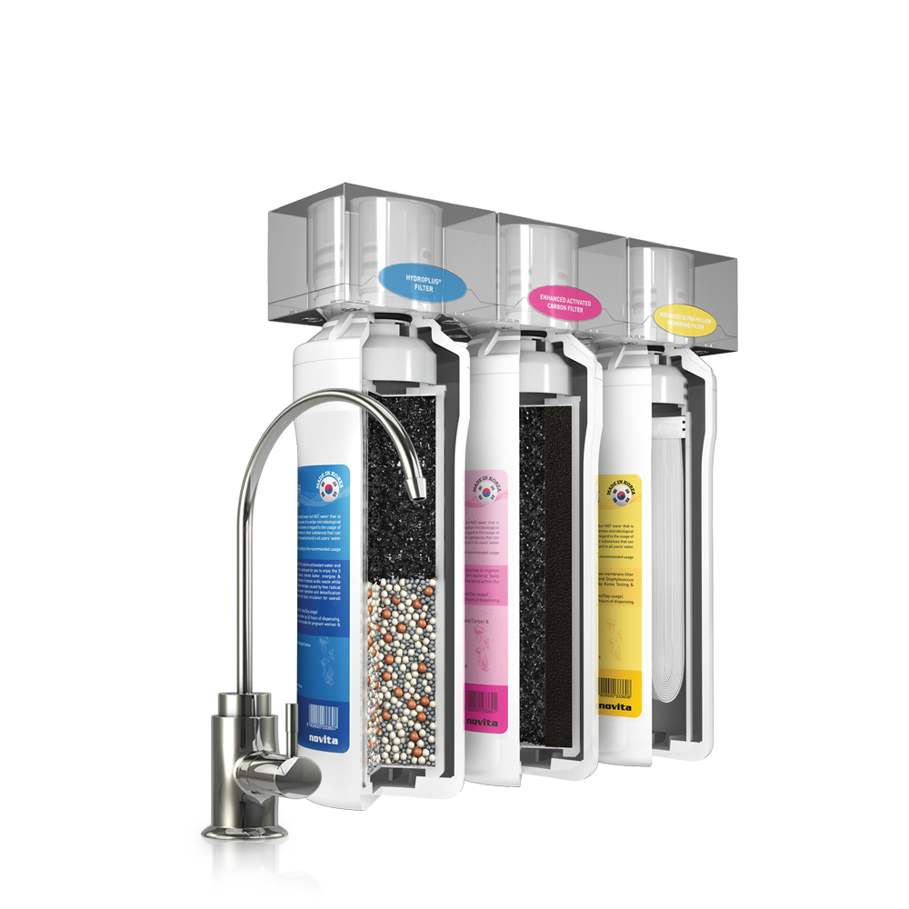 Under Sink Drinking Water Filtration System NP388US Standard Installation Service