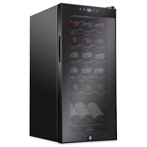 Wine Cooler Refrigerator w/Lock | Large Freestanding Wine Cellar For Red