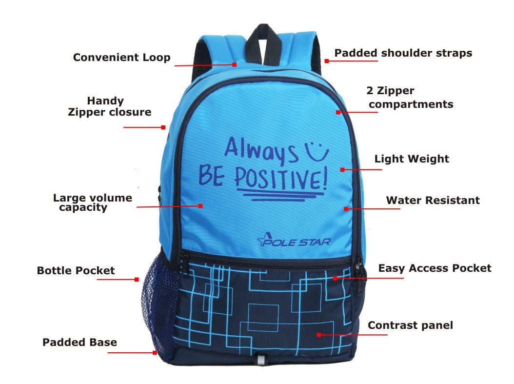 POLE STAR Hero Polyester 32L Sky & Navy Blue Casual Backpack
